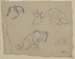 Sketches of a Lion Thumbnail